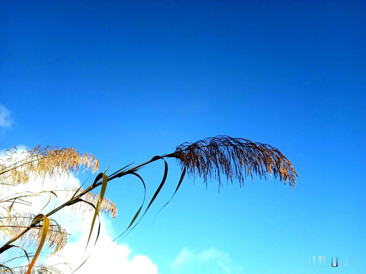 伤心的情感，无奈的婚嫁，尴尬的大龄男孩女孩。当今社会，高昂的婚嫁成本，一个房子，