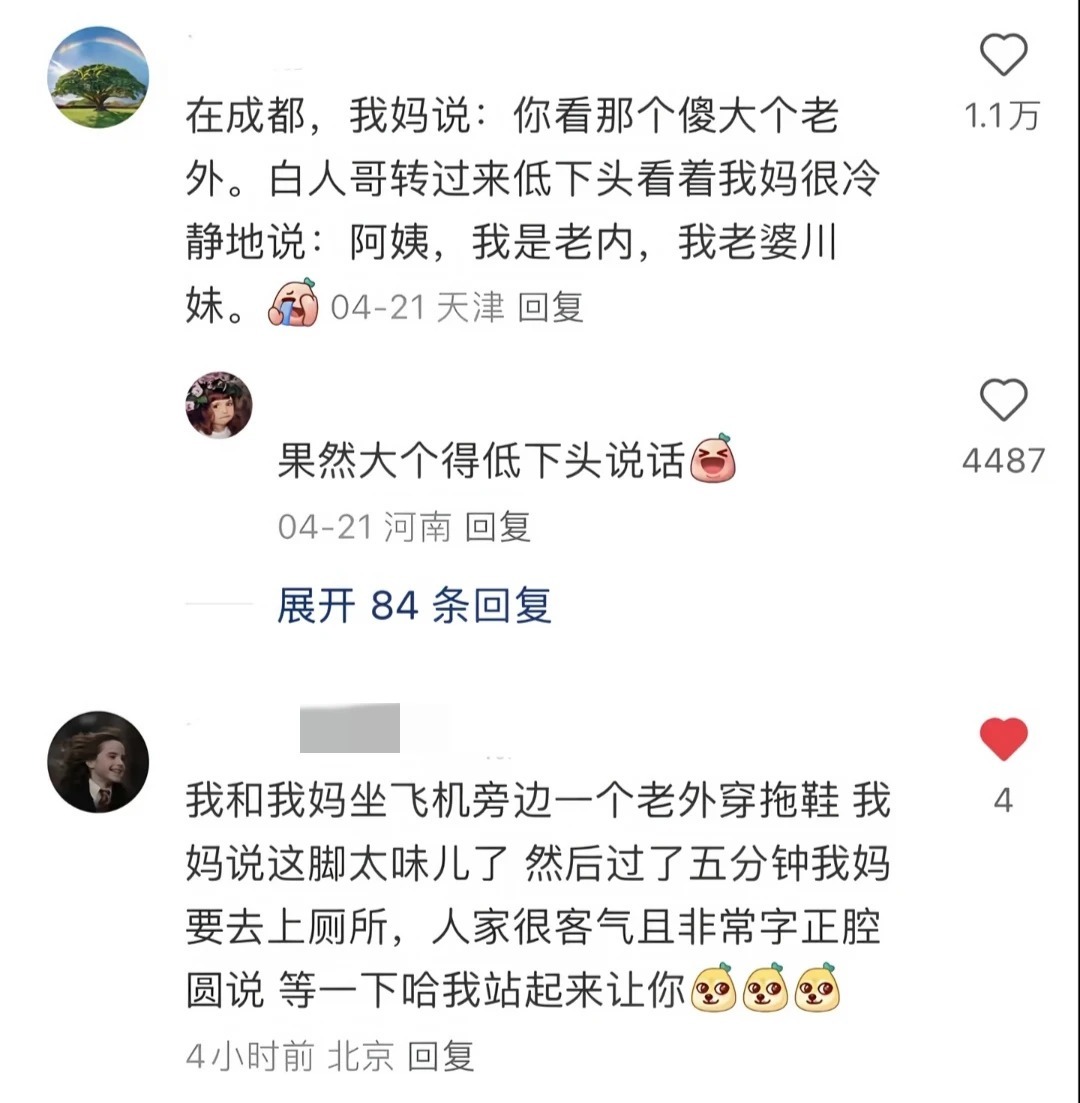留子在国外别再用中文蛐蛐人了！