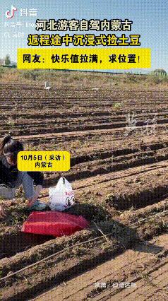 又狠狠感受了一回内蒙古的热情！河北一家三口自驾去内蒙旅游，没想带回一车的小土
