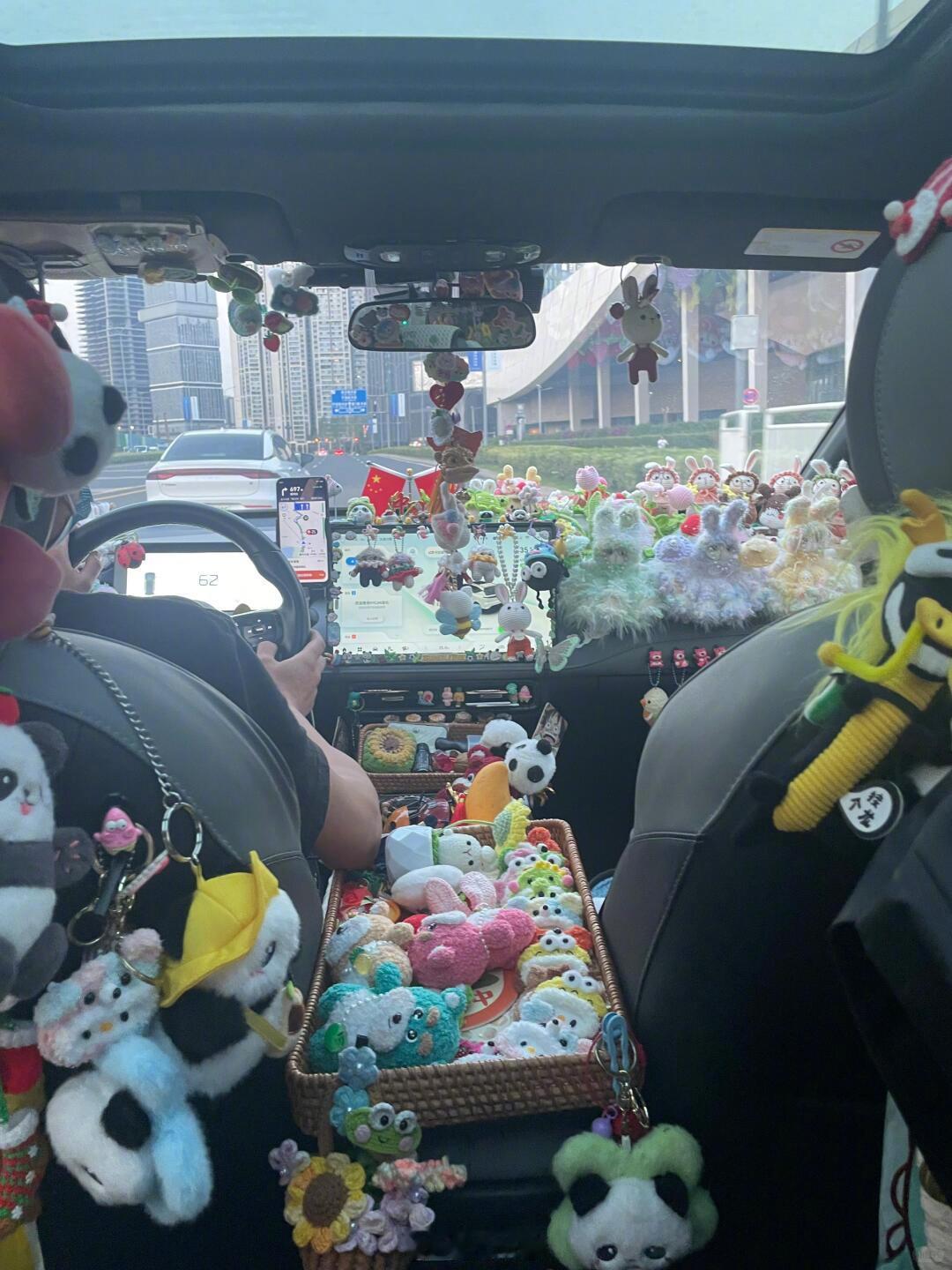 不要在车里放小玩偶了这种很夸张了，你们见过类似的车吗？