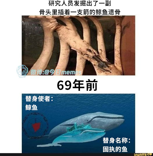我化身（iFunny）今日meme今日memes​​​