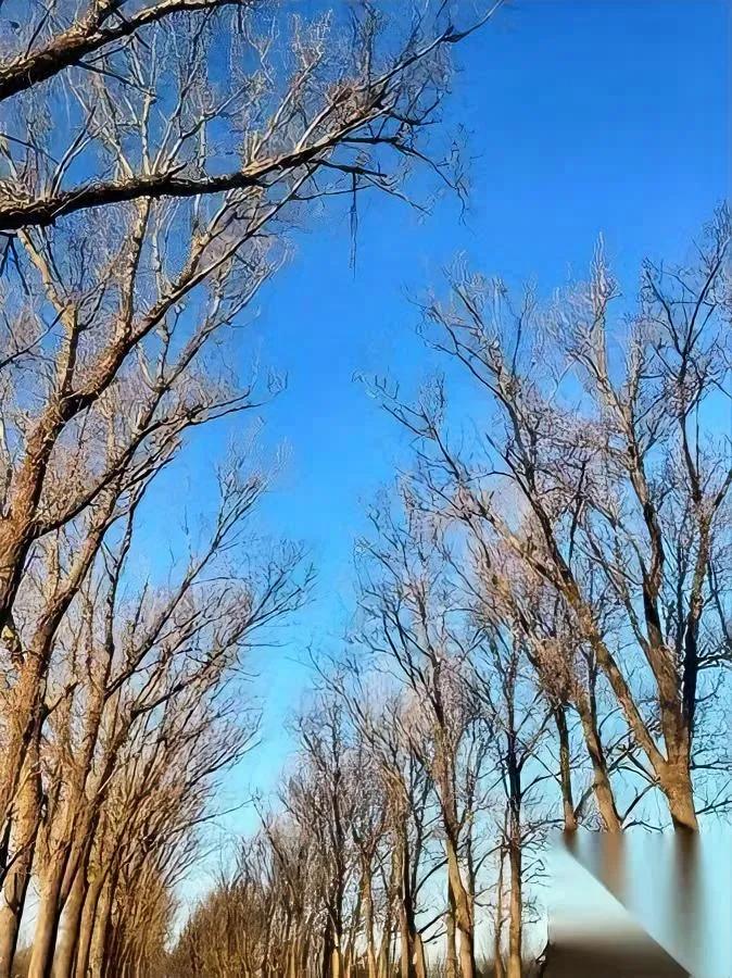 亲戚群又99+？我直接静音。不是薄情，是“亲情”被红包金额标了价：70后