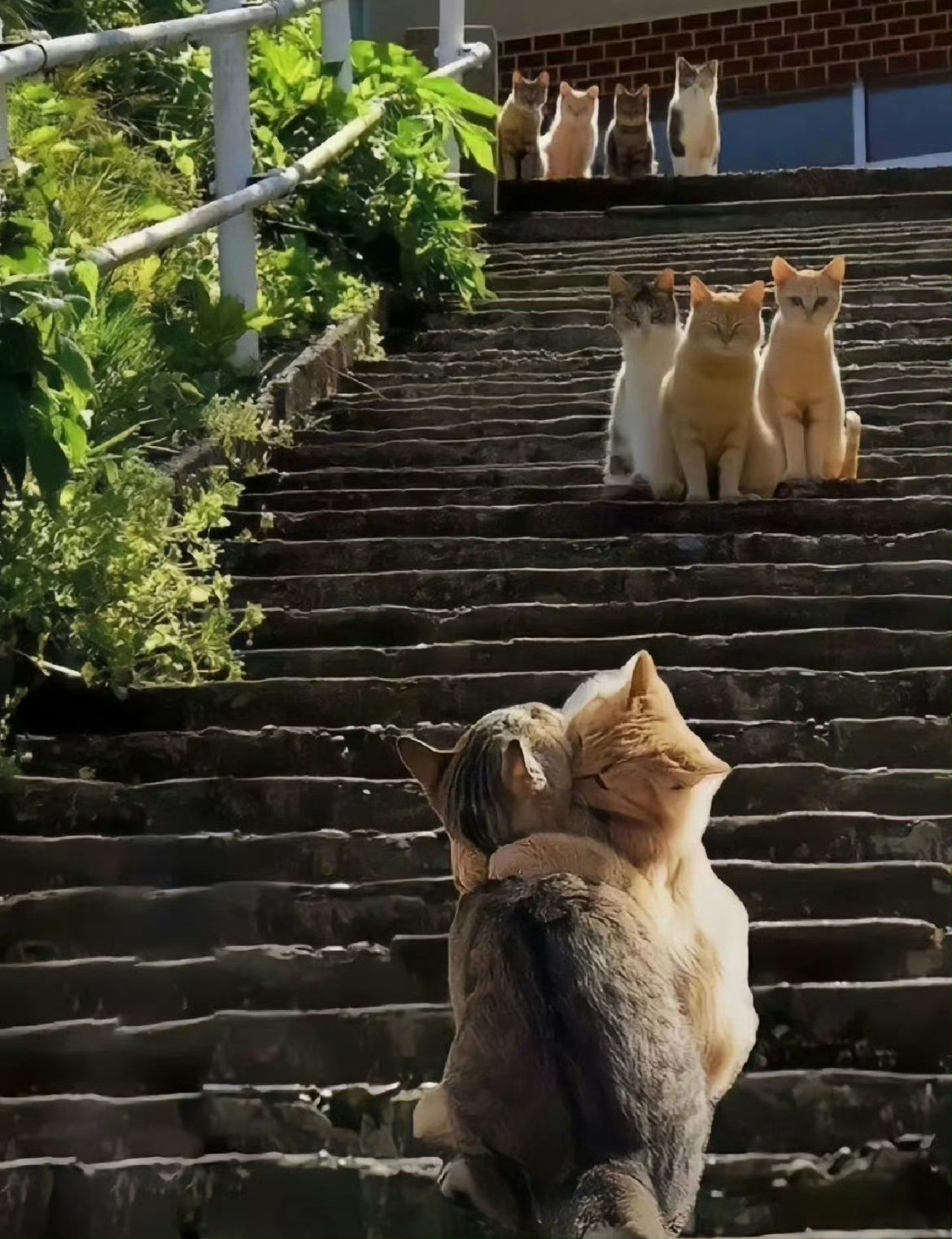 看热闹不嫌事大
