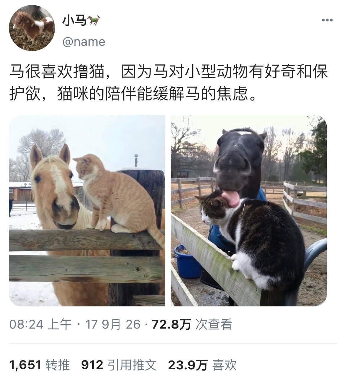 原来小动物有这么多可爱的小众萌点