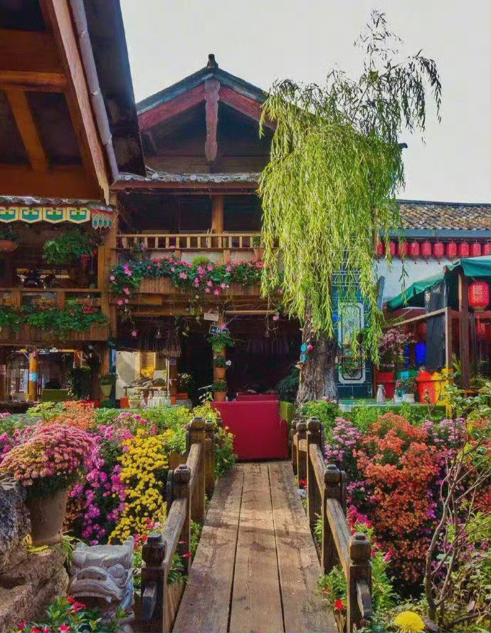 丽江古城，花香满城，如痴如醉。
