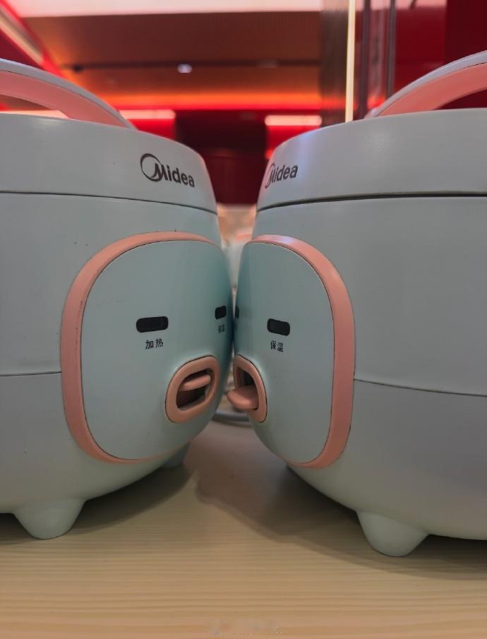 两个电饭煲在干嘛，这不胡闹么
