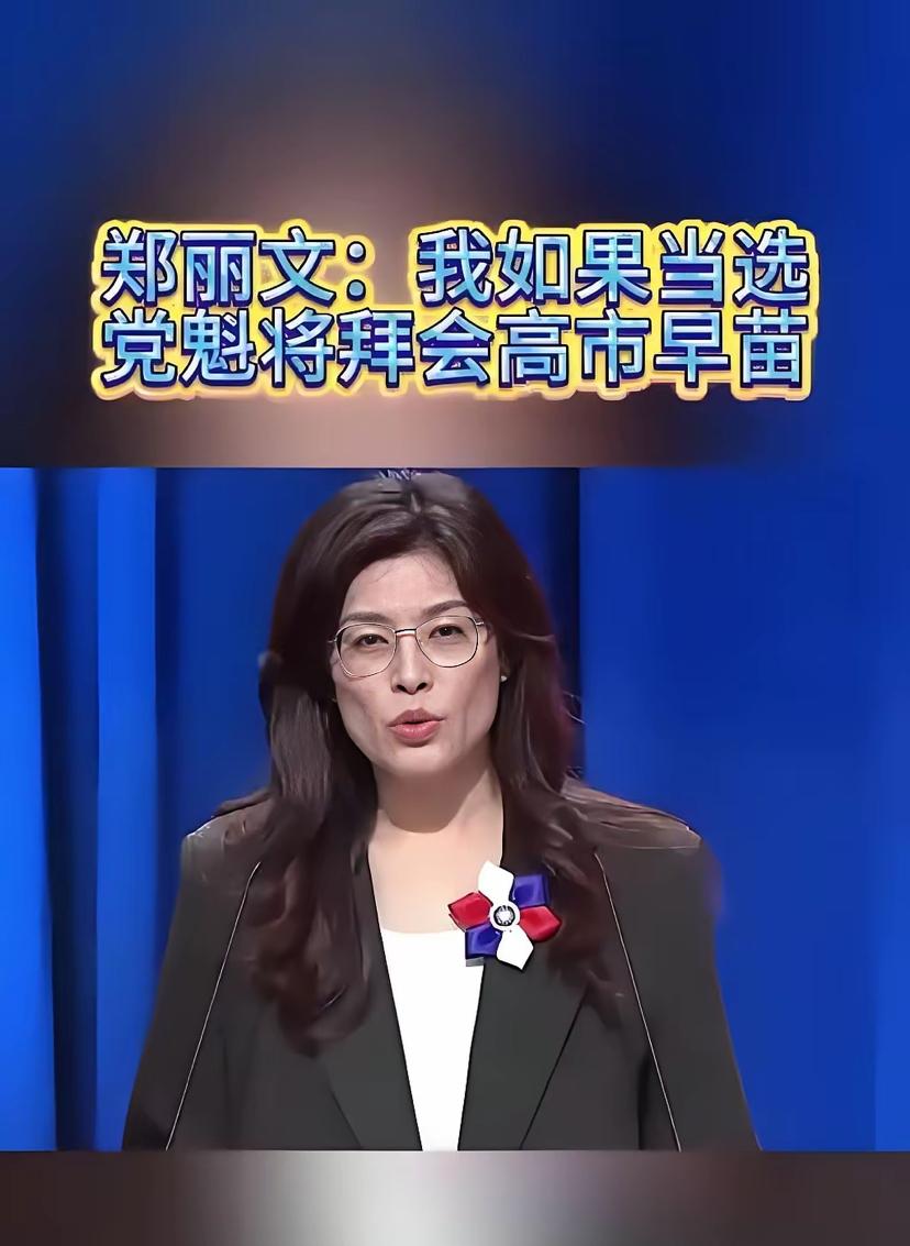 郑丽文堆积多年的积木塔，被她自己抽掉一根后全部坍塌，前功尽弃，你认为这是个意外？