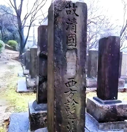 2003年，在日本留学的中国女学生杨海嘉，无意间路过日本“真山田陆军”的墓园时，