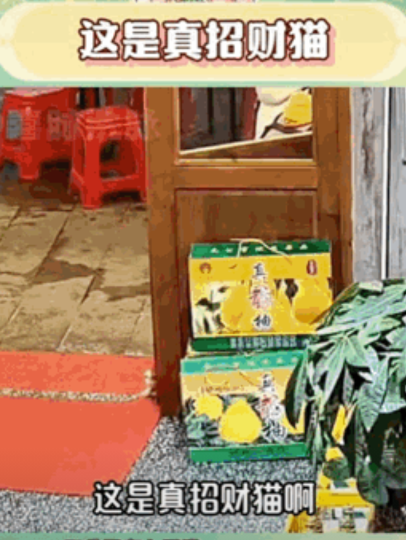 有人缝缝补补，有人赶尽杀绝！重庆一家火锅店常年生意惨淡，老板本想放弃，没想到突然