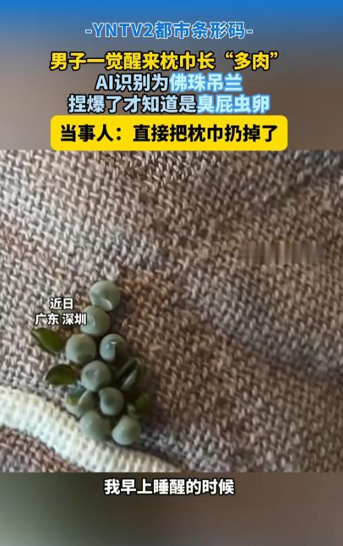 “又上了AI的当！”7月1日报道，广东深圳，一男子早上醒来，发现枕巾上有一串深绿
