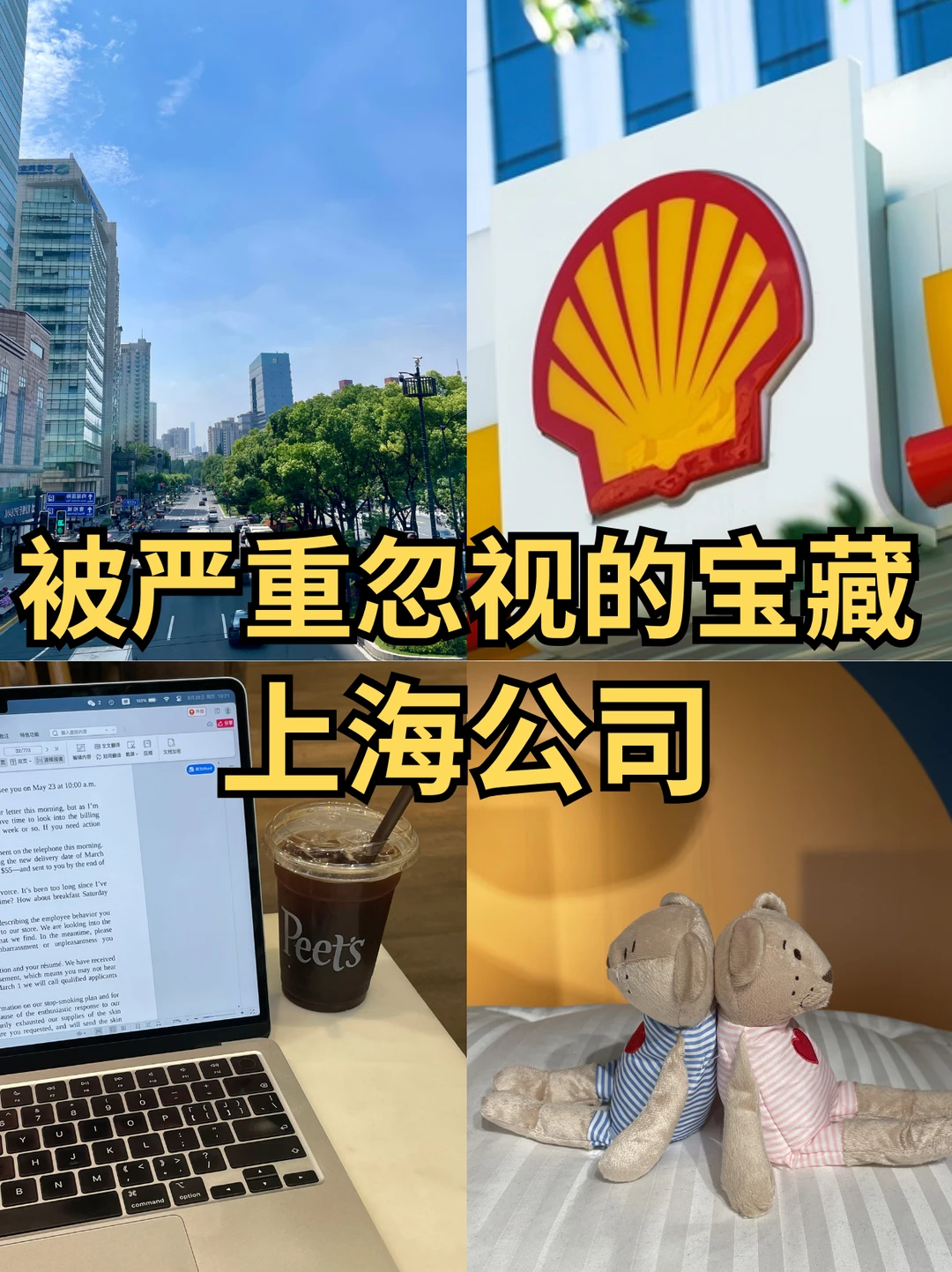 被严重忽视的宝藏：上海公司🫶🏼