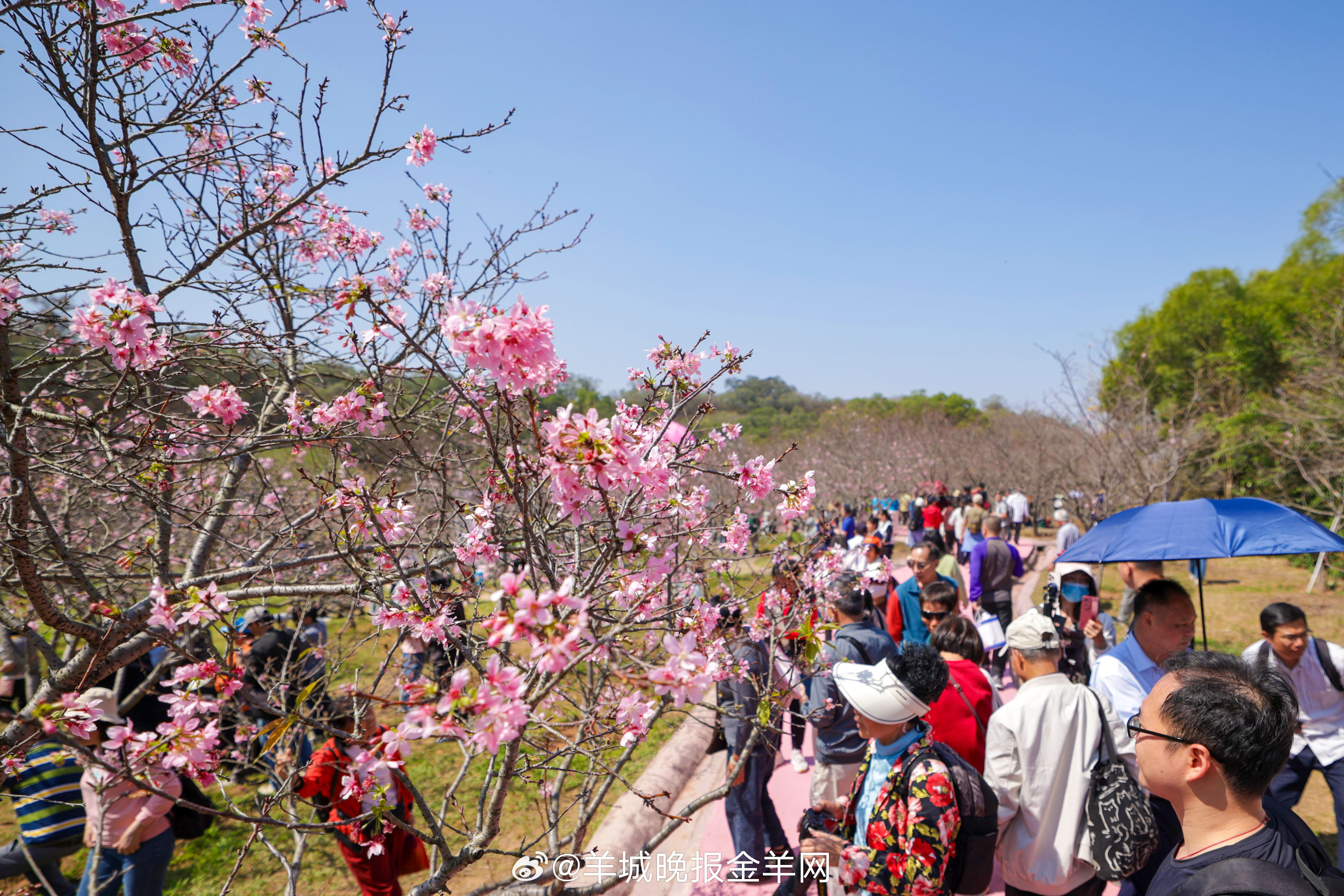 #早安#接纳畏惧情绪，主动行动，在前行中重拾掌控感，让每一次心跳，都成为成长的鼓