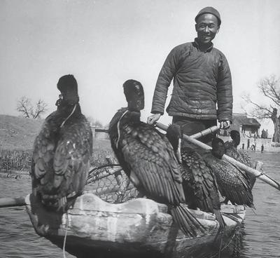 1942年，渔夫陈根土携妻儿逃难时撞见了日军。当时他正把船往芦苇荡深处划，船