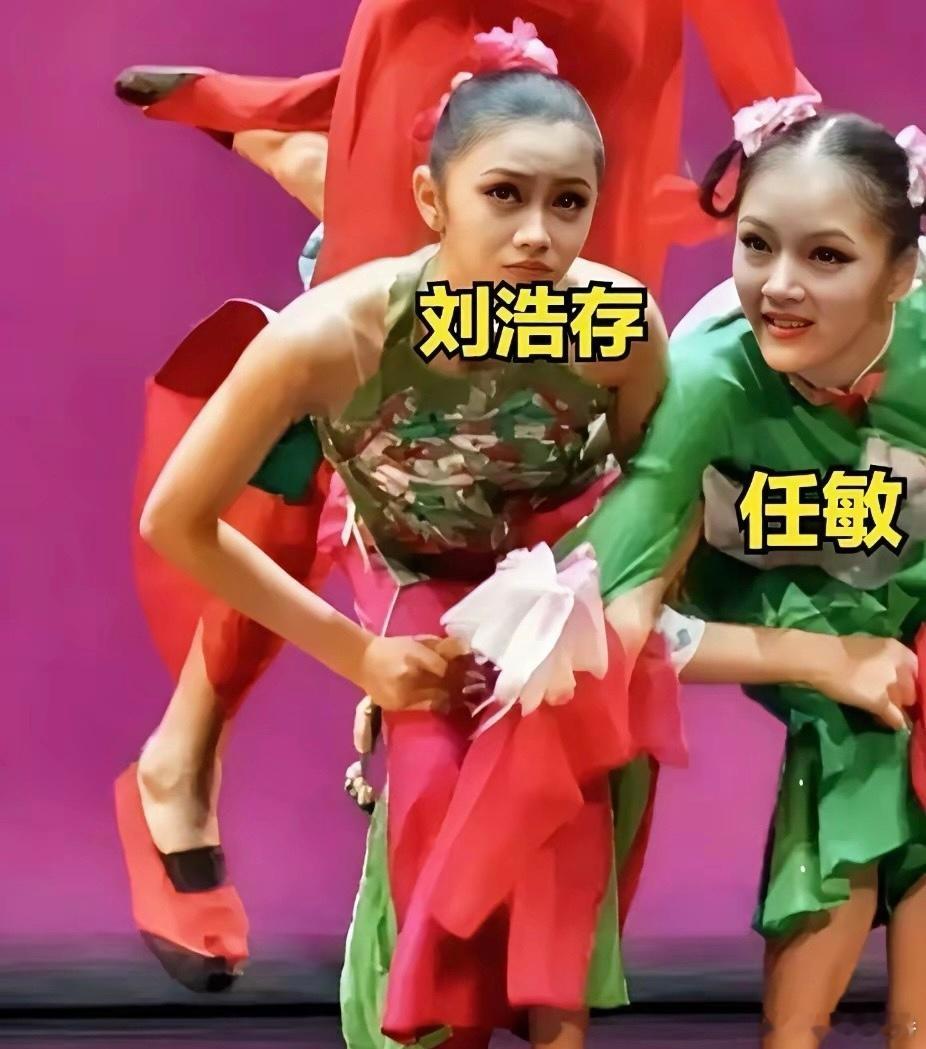 是谁还不知道任敏和刘浩存是北舞同班同学？？？？