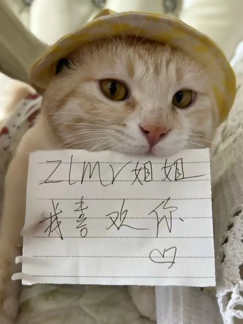 到底是谁的小咪这么可爱。