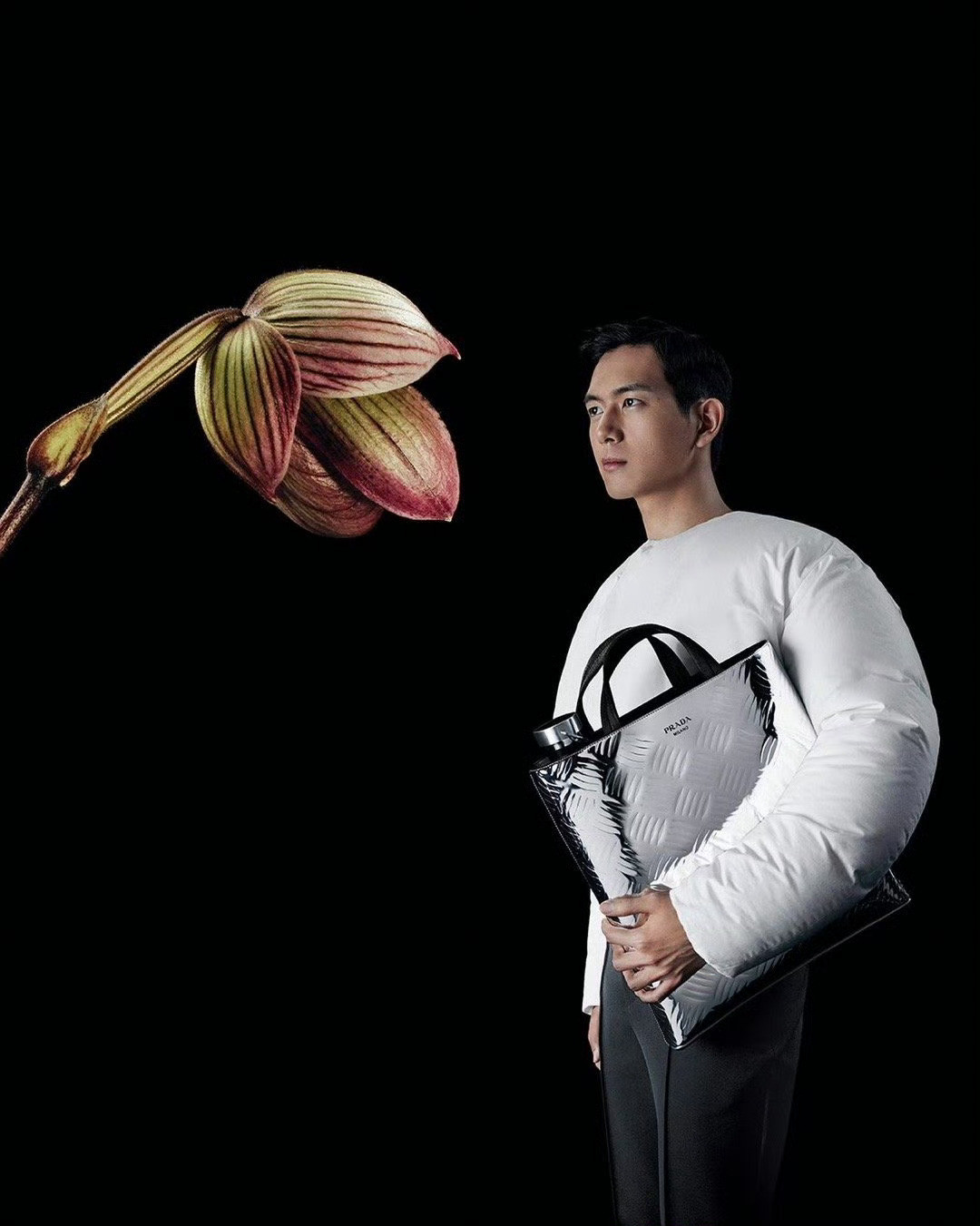 李现xPradaCampaign成为首位手握两支Prada全球策划广告的亚