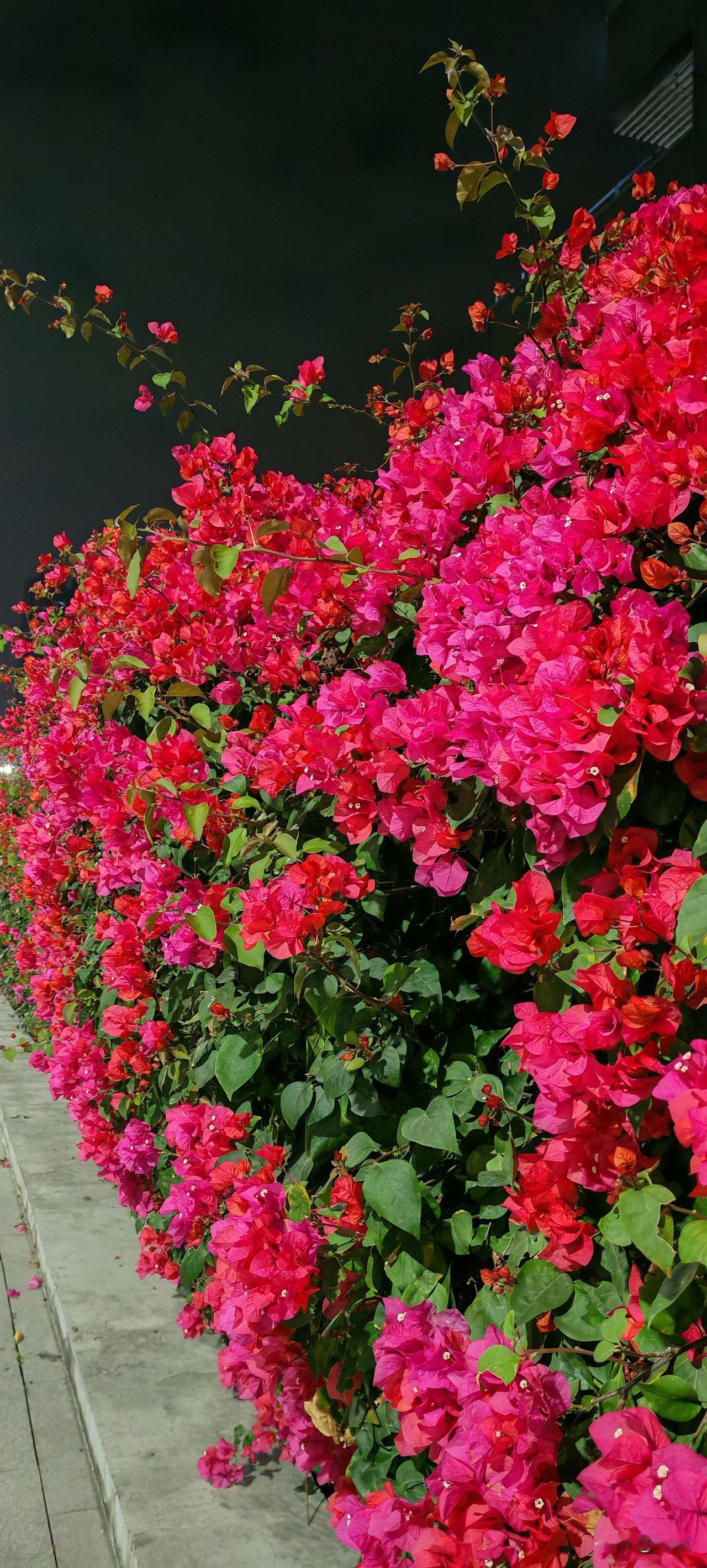 40岁女子三年前由于不堪忍受老公长期出轨家暴起诉离婚，两个女儿当时一个17岁，一