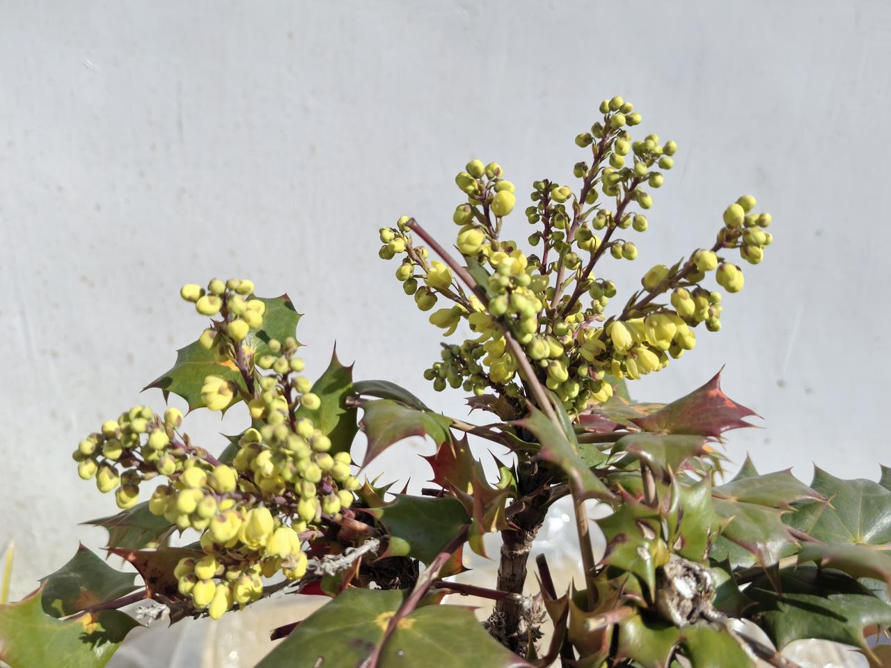 弟弟结婚了，33岁大姑姐只好出来租房住。我家隔壁幢租住了一个33岁女生，两室