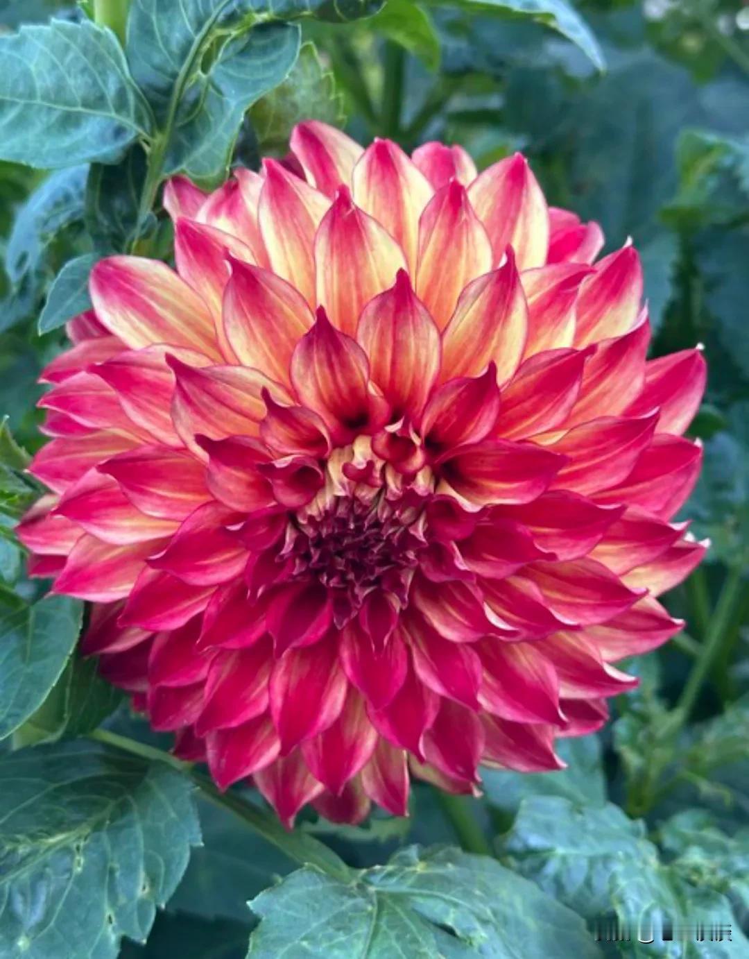 一位火葬场的师傅说：每天在铁皮推车前排队的人，或者叫排队的遗体，有芳华正茂的美人