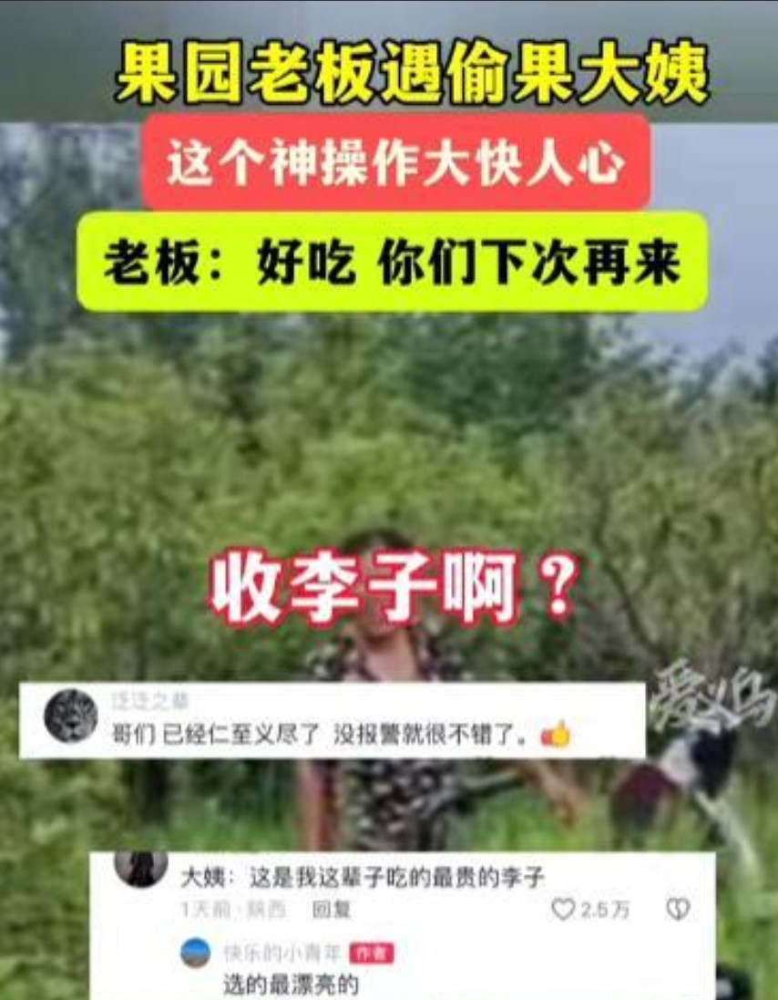“白嫖失败反被嫖！”2024年，山东济宁，男子去果园，发现有2个大妈拿着水桶，在
