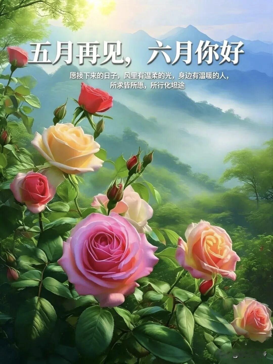 双色球如何选号才有机会博取大奖?第一注:12192528318-11