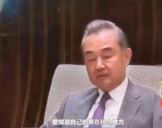 王毅外长说的太霸气了；“中日韩的朋友们我们到美国去，美国人认为你是亚裔人，他们分