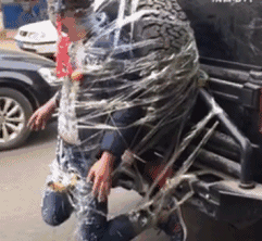 爆笑GIF: 妹子, 没事逗猪干嘛呢?