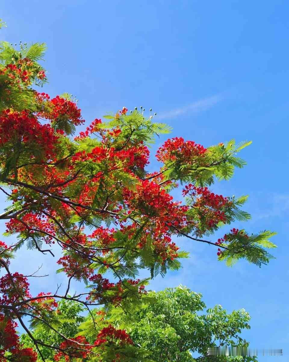 同事七八年不交水电公摊费，物业愣是拿他没辙。这事听着新鲜，细想却把物业费那点猫