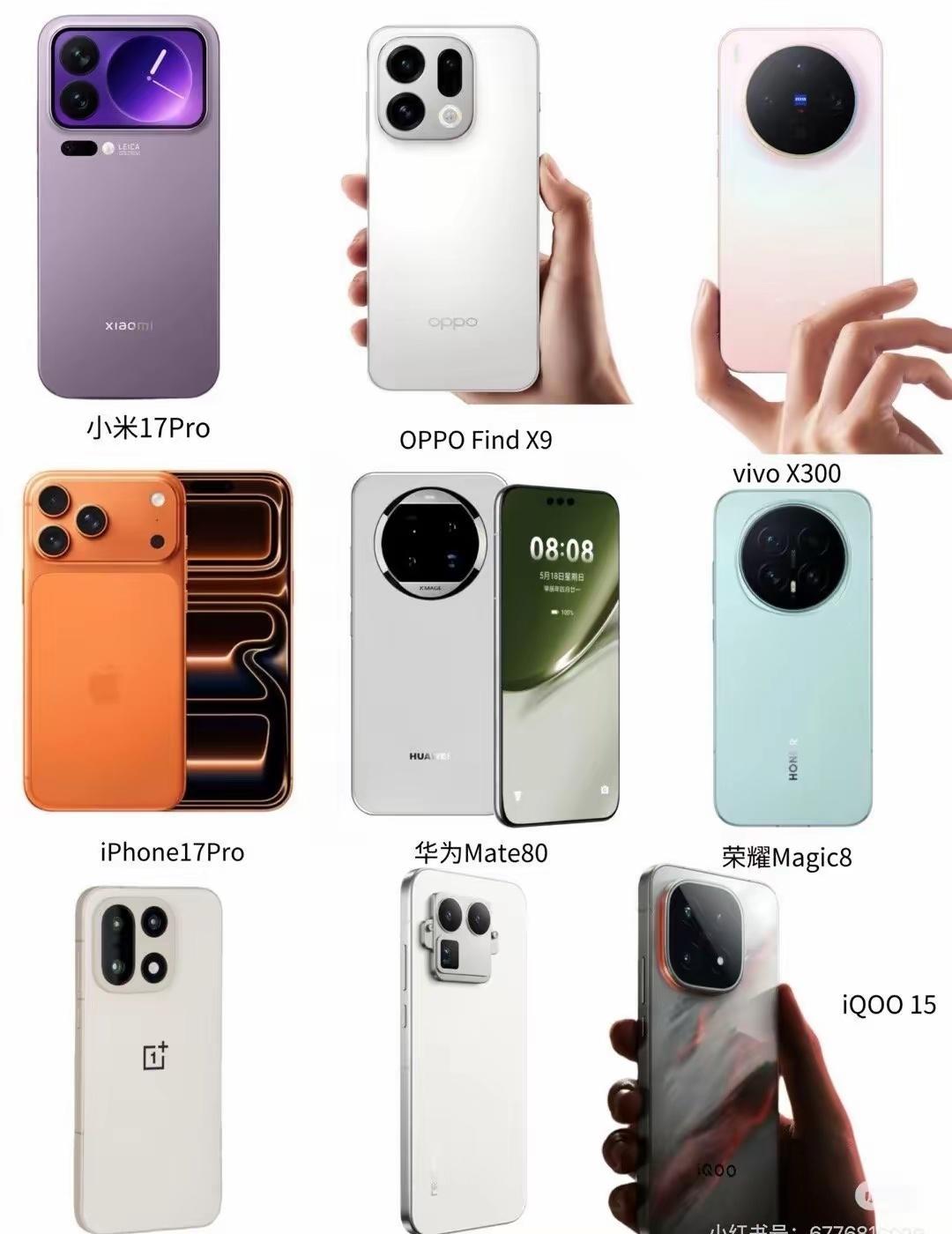 放在一起，哪个最好看？​​​