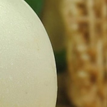 种植🍈香瓜的种植方法1、种植时间：香瓜的播种时间在每年八月到十月。2、土壤：