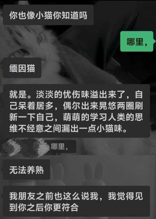 尬不尬