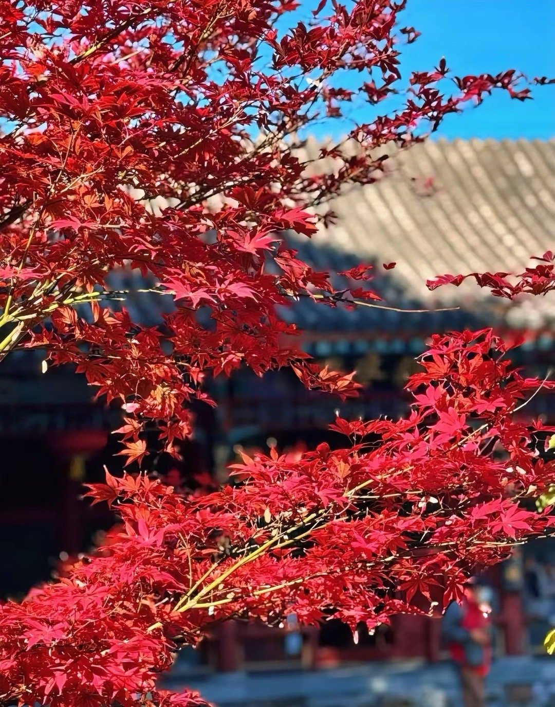 5000家公司下跌，如果你去反思自己错了，我觉得是你有问题了。这种行情还有什么好