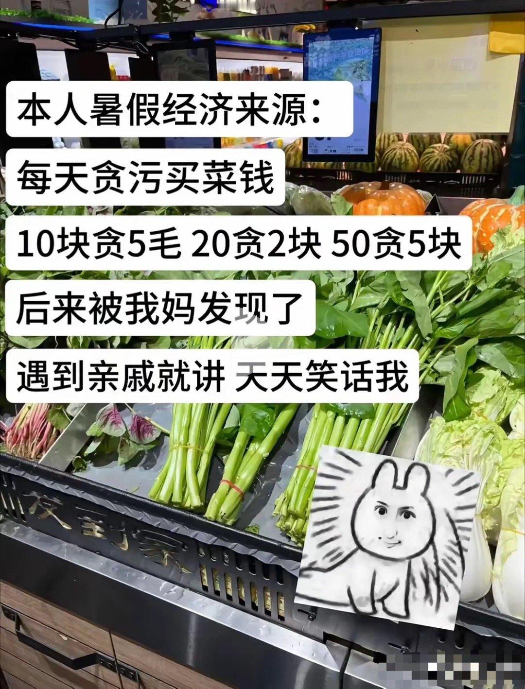暑假大学生回家赚钱偏方：“贪污”买菜款！雁过拔毛！​​​