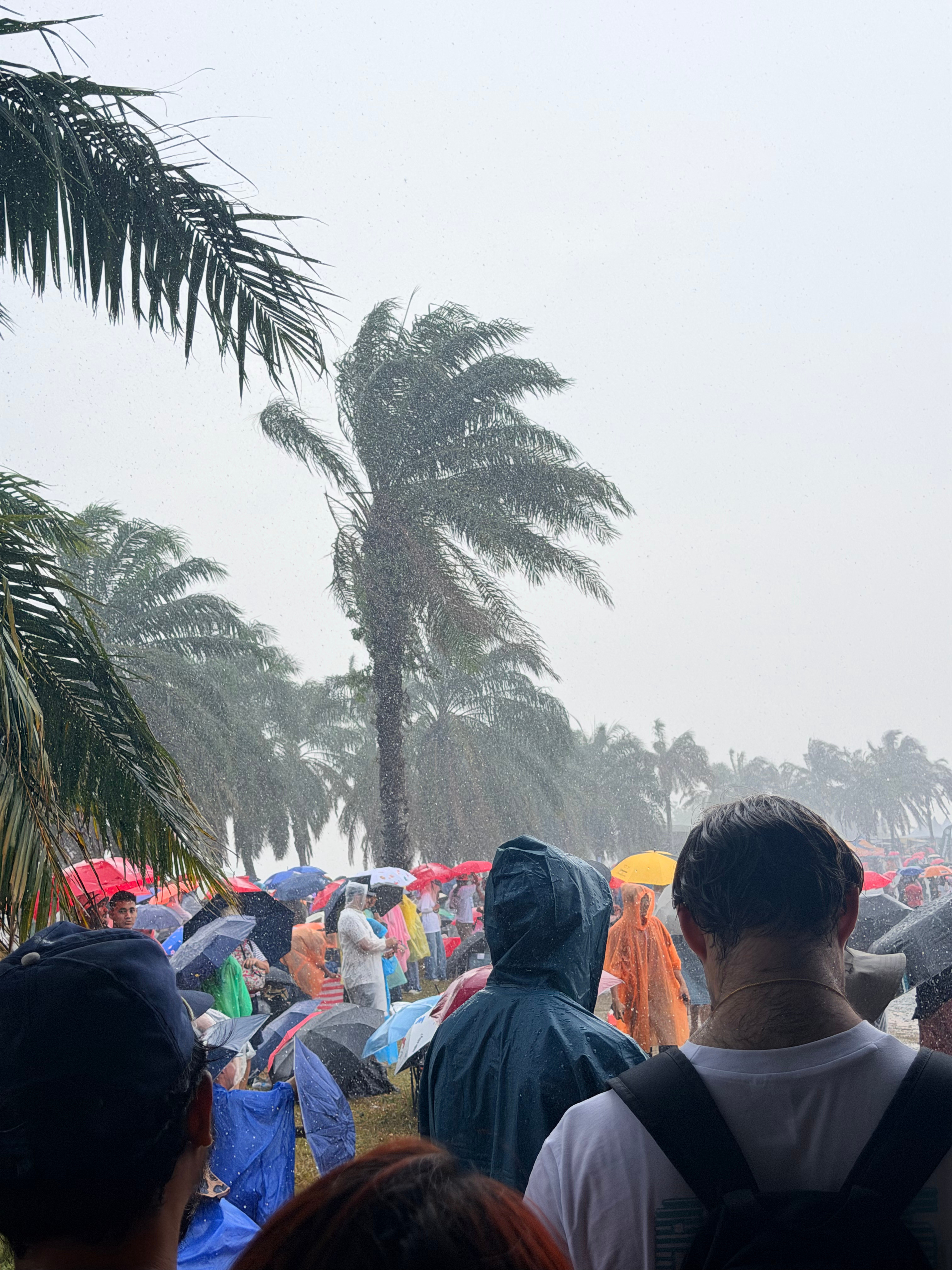 绝！这大雨！​​​