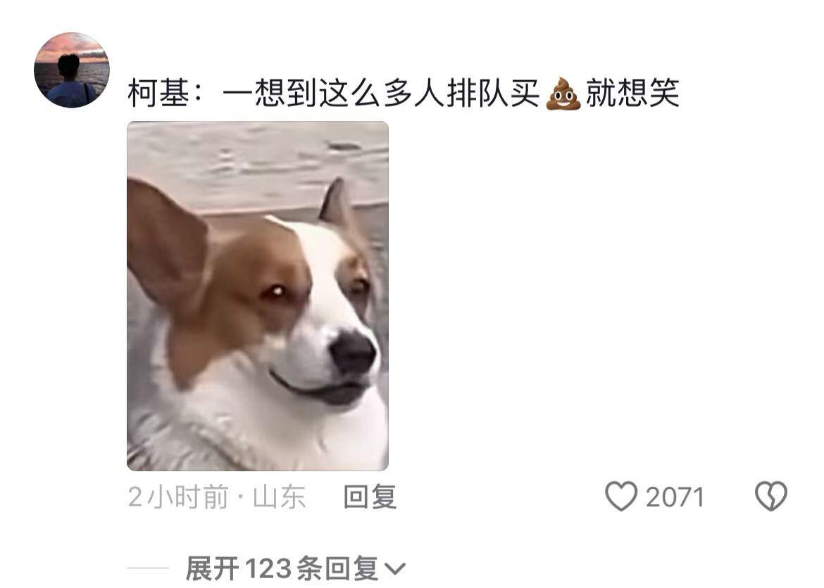 哈哈哈小狗的心情都写在脸上了