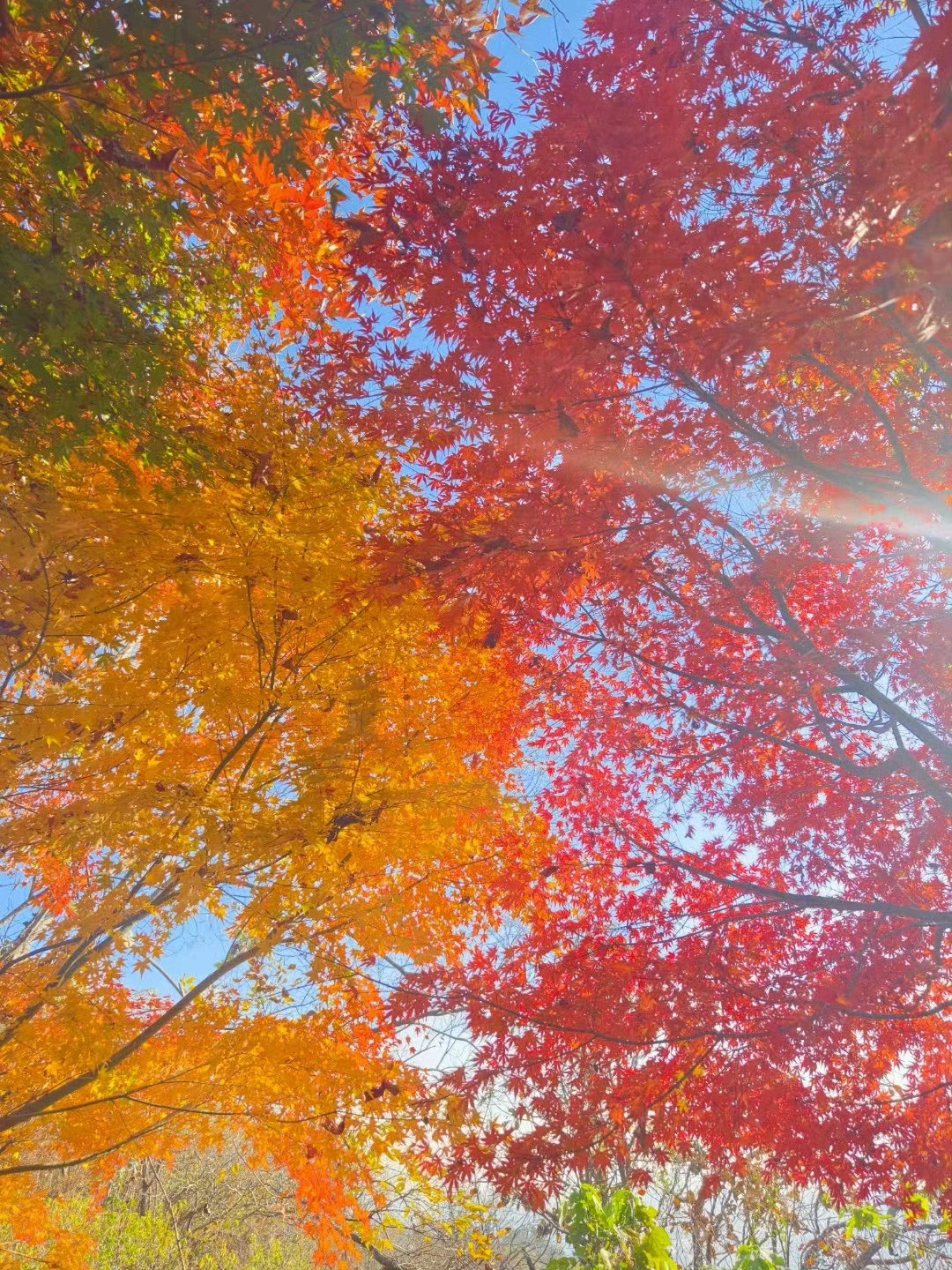 《史记》中30句名言和注解，句句经典，古人的大智慧，受益无穷！1.天下熙熙，皆为