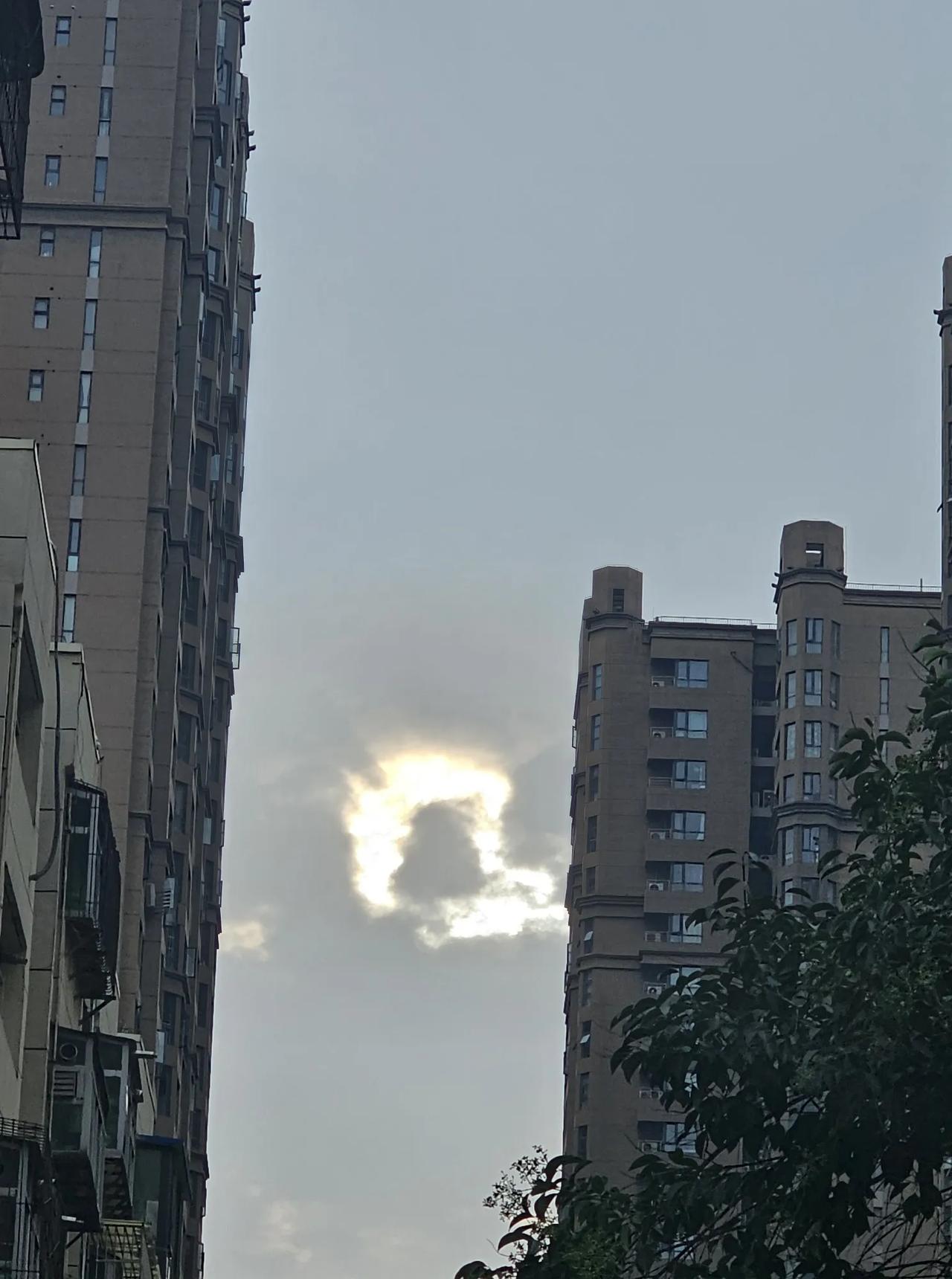 放大后再拍，发现飞机掠过夕阳