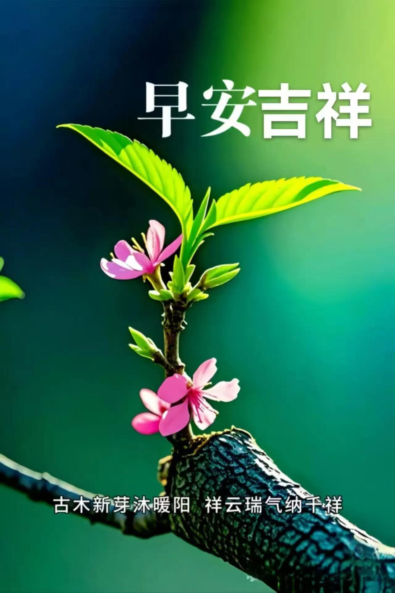 相識從緣字開始，友情靠信字延續，真誠是敬字升華，知己依心字長久，願我們彼