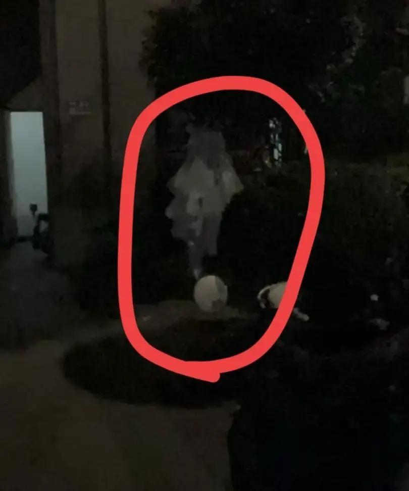 小区业主第三次在单元门口挂招魂幡，邻居炸了。半年内连着三次，白布条随风晃，电梯