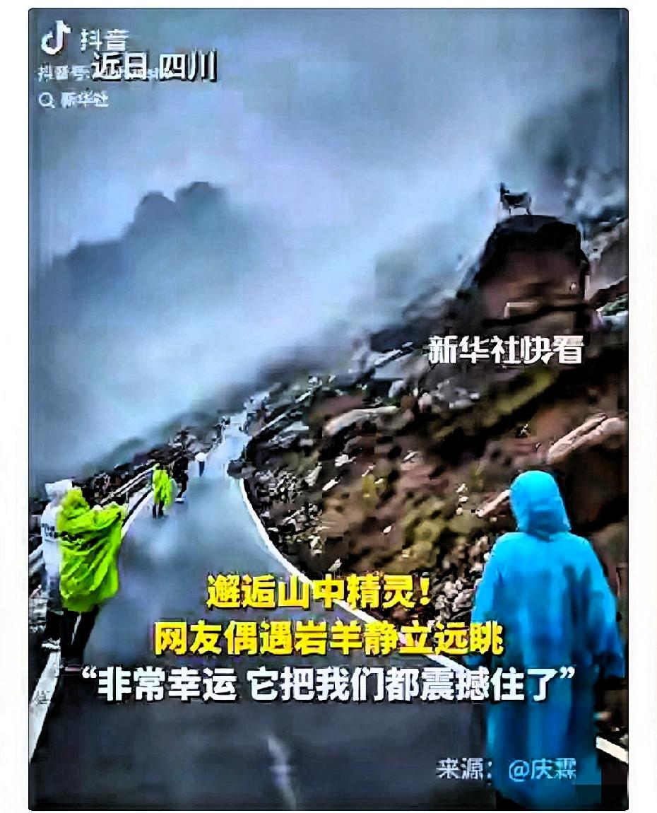 彻底解释不清了！连新华社都忍不住转发了。四川，网友在莲宝叶则的山路中徒步