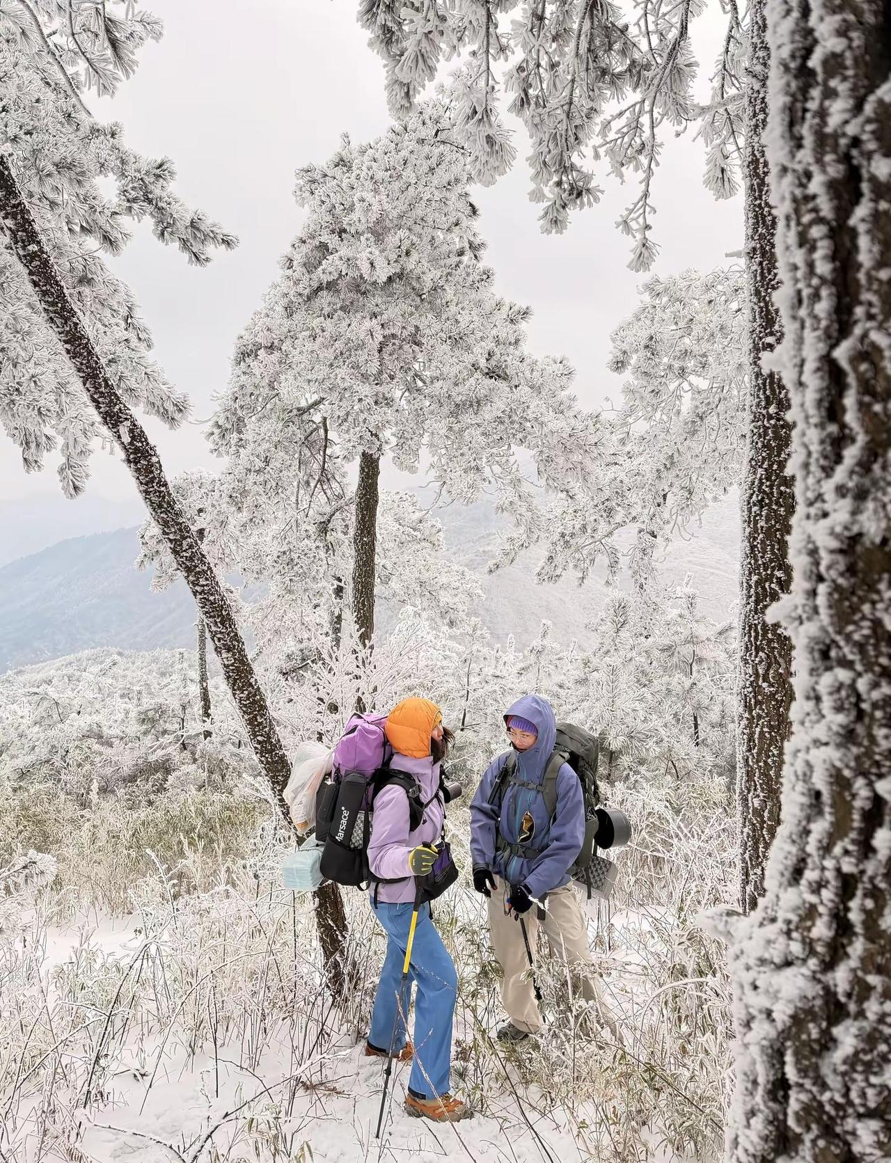 2026.1.6百丈岭初雪实拍，详细攻略是谁那么幸运，百丈岭重装徒步，赶上了超