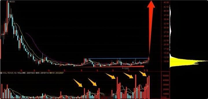 12月的气息已经藏不住了！平潭接力者已然浮现，🐉象尽显即将闪耀全场！十五五扶持