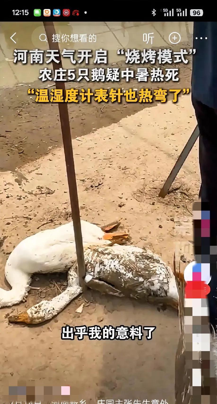 刚刷到个新闻，真把我惊到了！说是河南新乡那边，这几天天气热得离谱，河塘里的水都被