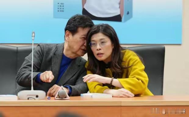 曾经放言“现在不谈统一，100年以后再说”的赵少康，想跟着郑丽文来大陆访问？