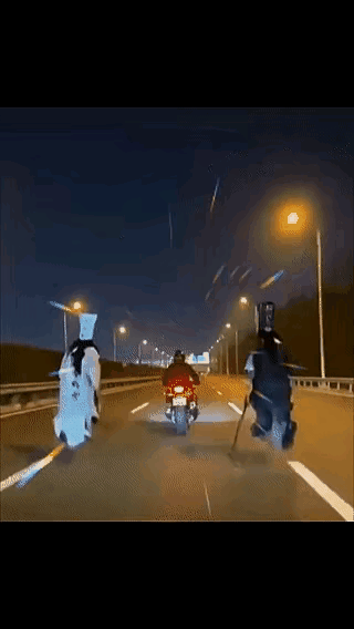 就看到这个视频让我们猛然醒悟一个道理，有时候快速逃离真的是一线生的希望！