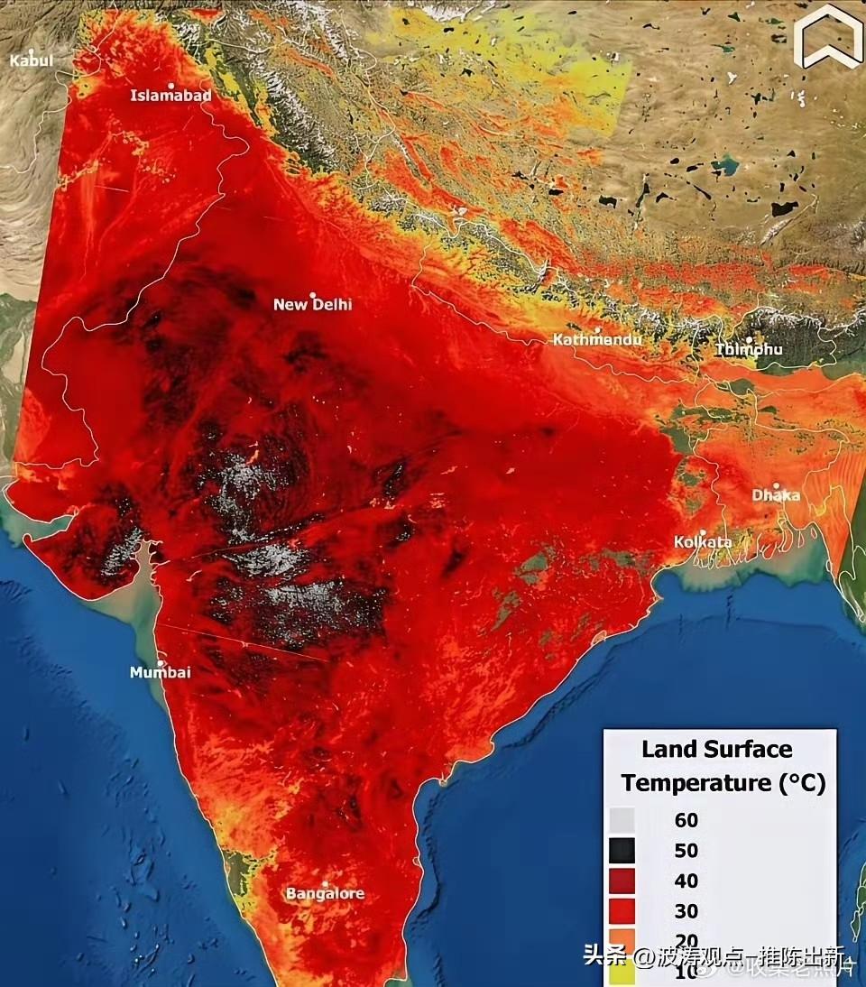印度近期遭遇极端高温，多地气温突破50℃，地表温度甚至高达60-80℃，导致动物