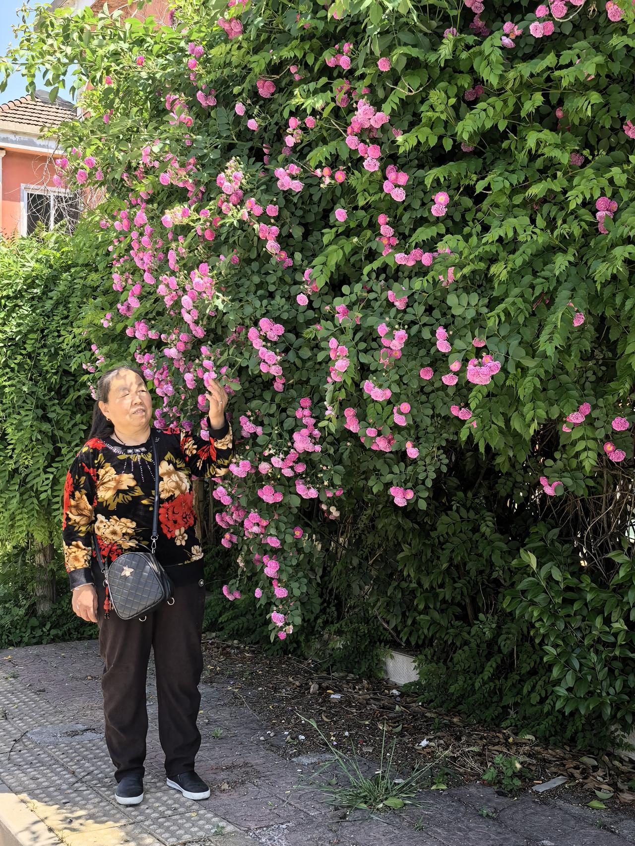 二十多年没有关过的院子大门，今天骑行回来发现莫名其妙给关上了，平时家里只有两个人