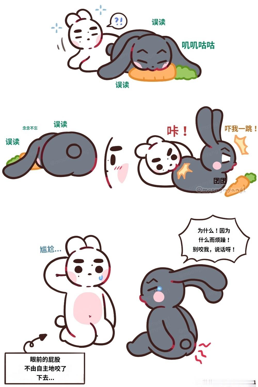 兔子生气的时候会先咬屁股©️moongmyang1
