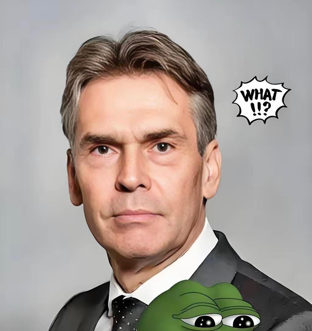 荷兰选在跨年夜这个节点搞突袭，真是让人看不懂。​12月31日突然对安世半导体下