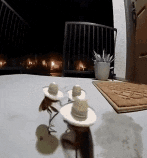 广州：😡😡😡​​​